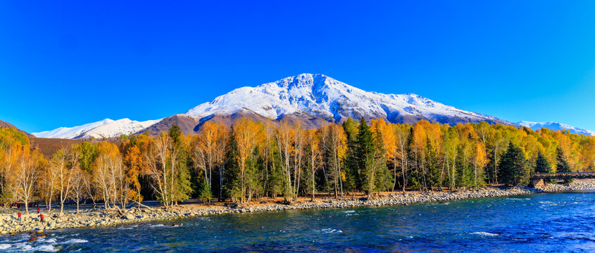 新疆禾木雪山河流秋色全景