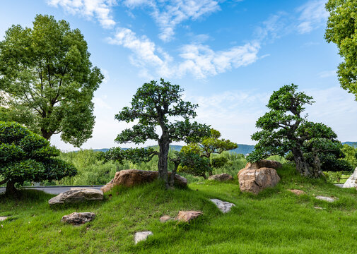 湖北京山园林风光