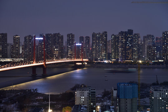 武汉鹦鹉洲长江大桥风光夜景