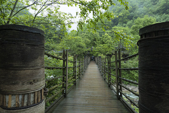 青城山森林步道