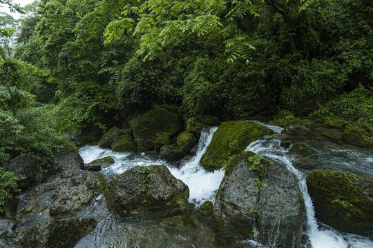 青城山森林步道