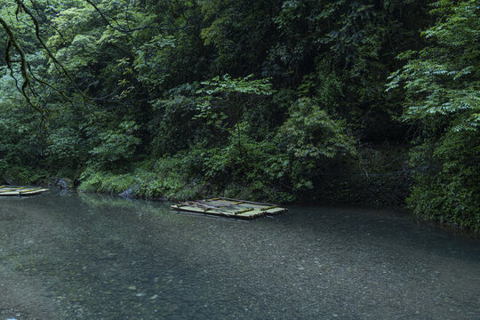 大自然森林溪水