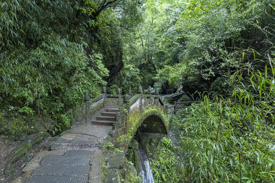 森林溪流青城山