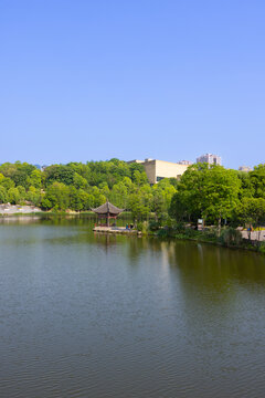 湖岸水景