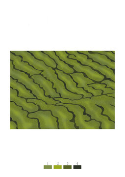 绿色波纹餐厅地毯