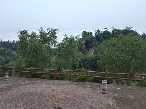 绿植与栏杆