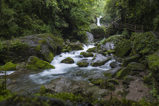 森林溪流