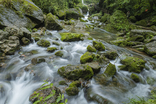 森林溪流