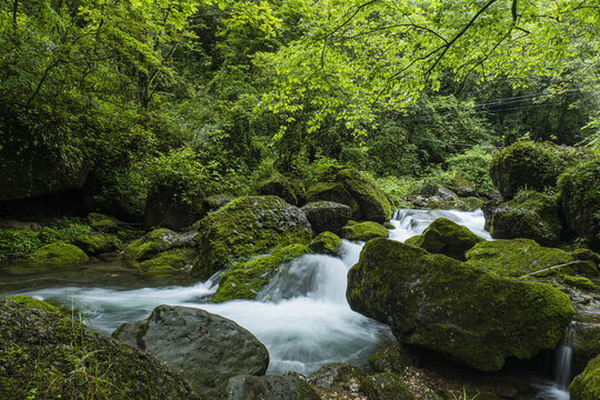 森林溪流