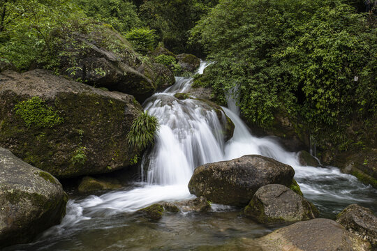 森林溪水