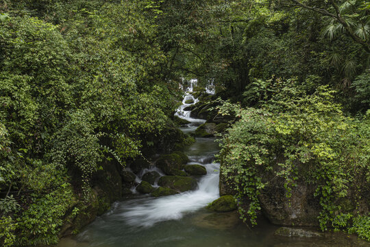 森林溪水