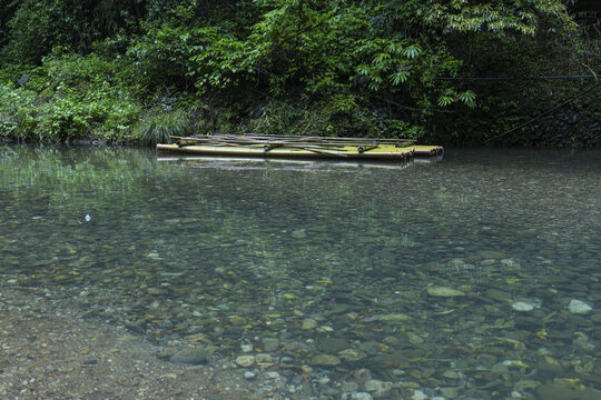 青城山森林