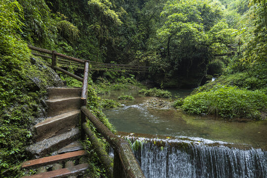 青城山森林