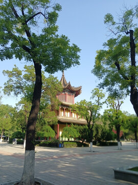 公园亭子景色