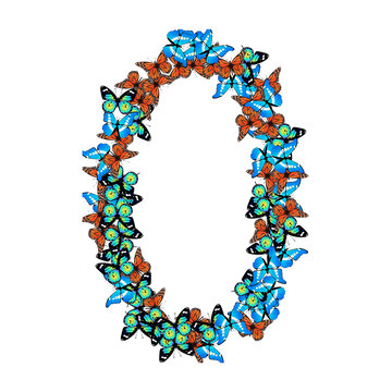 蝴蝶数字设计