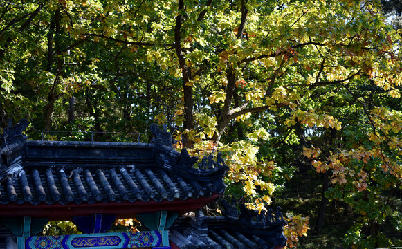 北京怀柔红螺寺