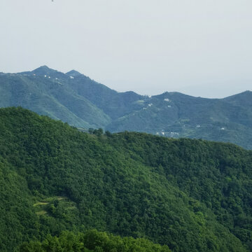 青山