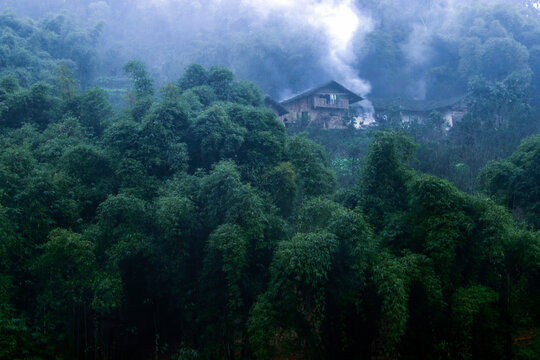 竹林炊烟