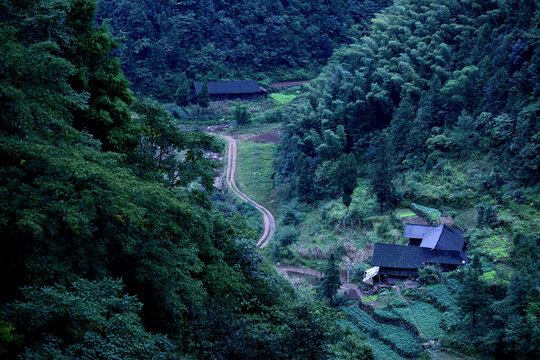 山间小路