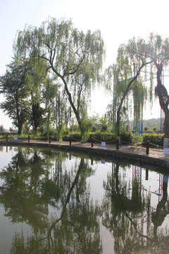 湖泊美景