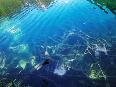 清澈见底的湖水风景