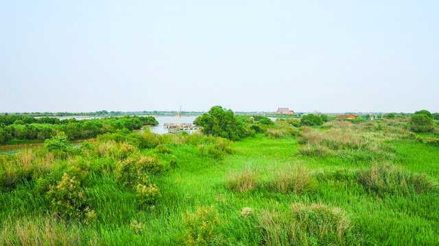 湿地保护区