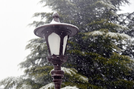 雪中路灯
