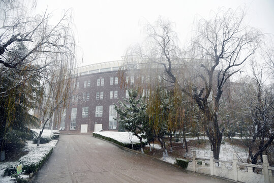 雪景