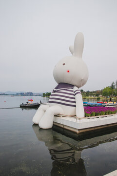 坐在湖面的兔子