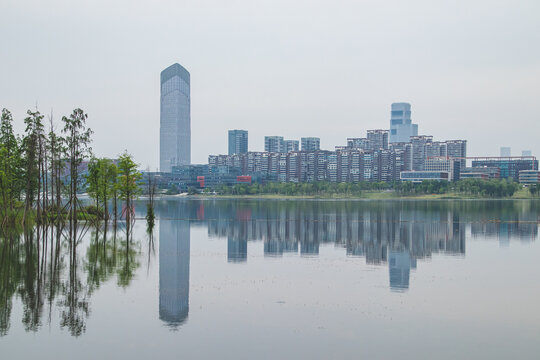 水面城市建筑倒影