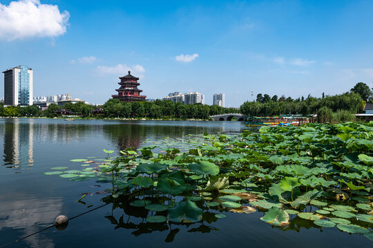 济宁古南池公园