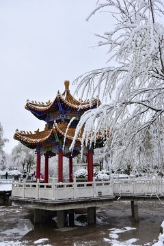 公园雪景