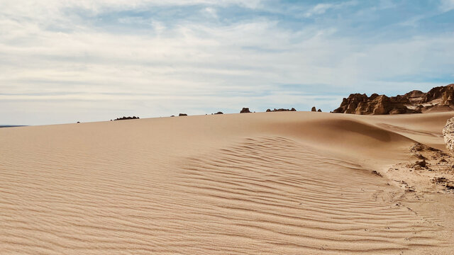 沙漠沙海