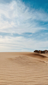 沙漠沙海