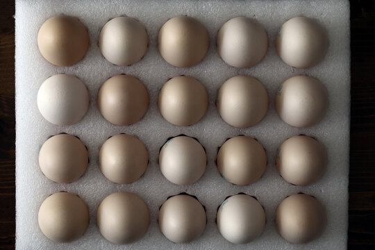 俯拍一组新鲜的干净的鸡蛋