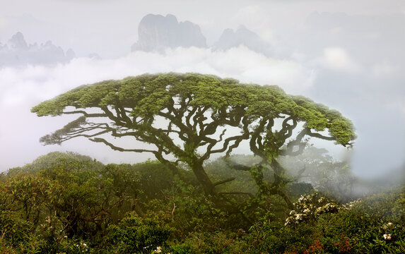 广西金秀圣堂山景观