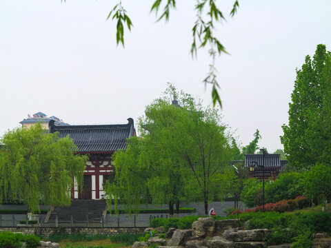 公园风景