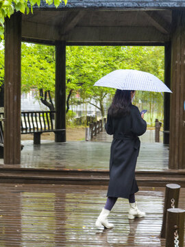 雨中游公园