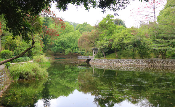 护城河美景