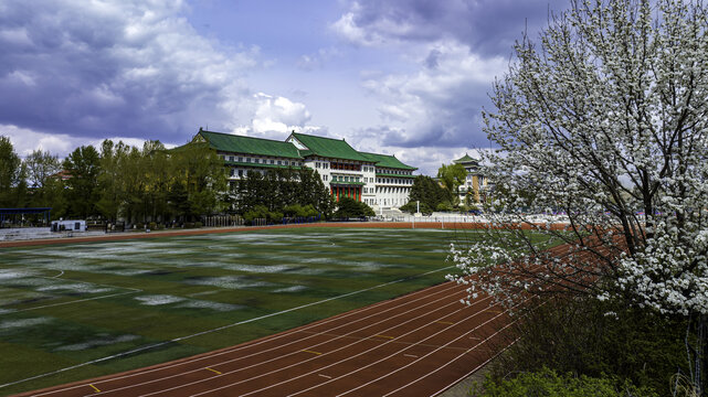 春季的吉林大学建筑景观