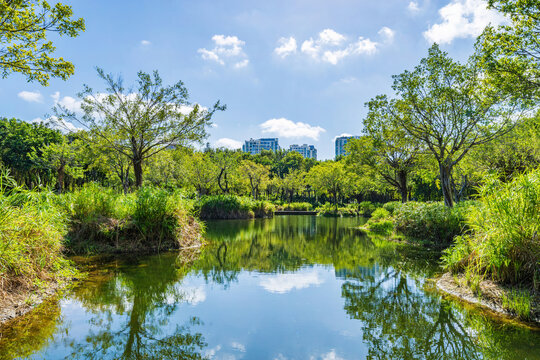 三亚市湿地公园城市住宅景观