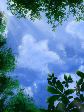 绿色植物蓝色天空春天阳光