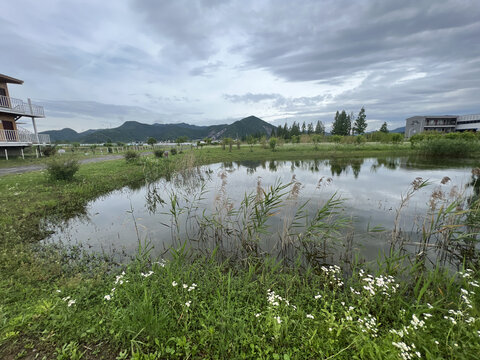 鱼池