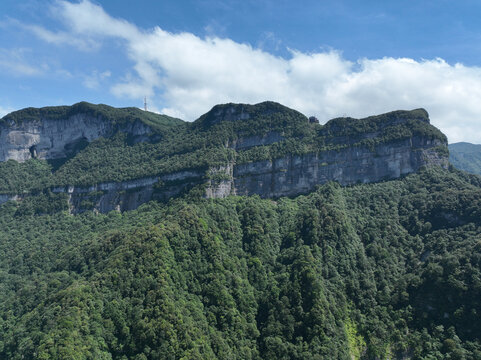 重庆金佛山