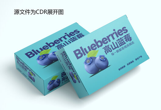 蓝莓礼盒