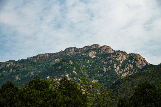 泰山