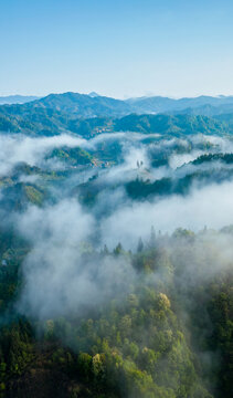 航拍山川山脉森林云雾生态