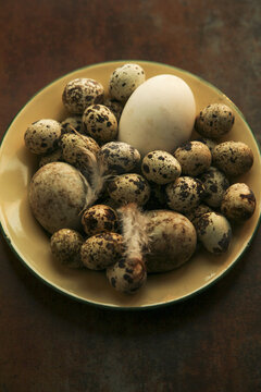 一些新鲜的鸭蛋和鹌鹑蛋