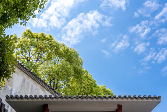 屋顶和天空