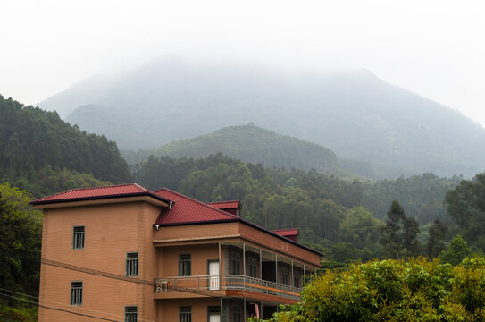 青山居